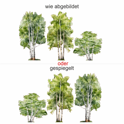 Preview: Wandtattoo Set Birken - Komplettansicht und Ausrichtung