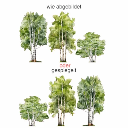 Wandtattoo Set Birken - Komplettansicht und Ausrichtung