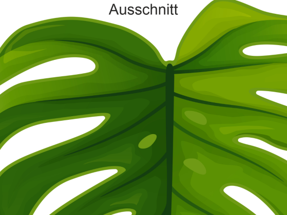 Preview: Wandtattoo Set Blätter zur freien Anordnung - Ansicht Ausschnitt