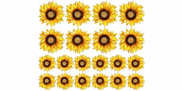 Wandtattoo Sonnenblumen Set zur freien Anordnung