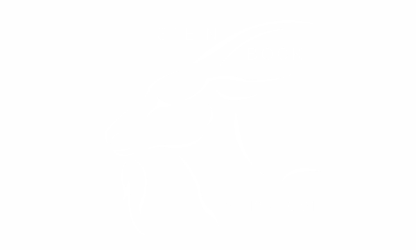 Preview: Wandtattoo Sternzeichen Steinbock