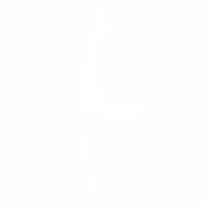 Preview: Wandtattoo mit den Umrissen von Sylt - Ansicht Farbauswahl