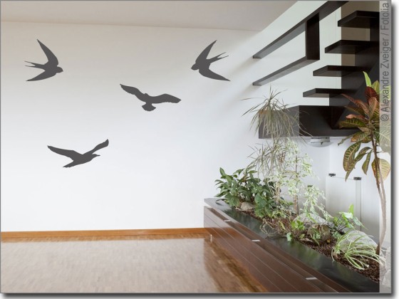 Preview: Wandtattoo Vögel