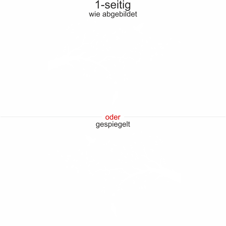 Herbstliches Dekor für Auto und Reisemobil - Ansicht Ausrichtung und Farbauswahl