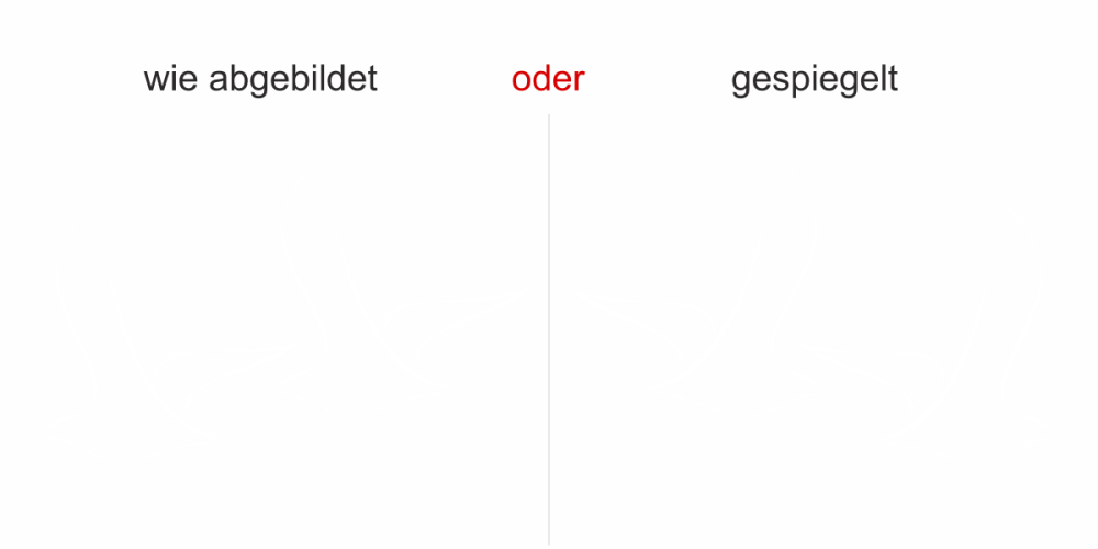 Glastattoo Möwen
