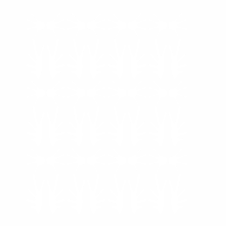 Wandtattoo Froschfüße