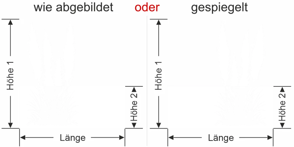 Sichtschutzfolie Amerikanisches Pampasgras