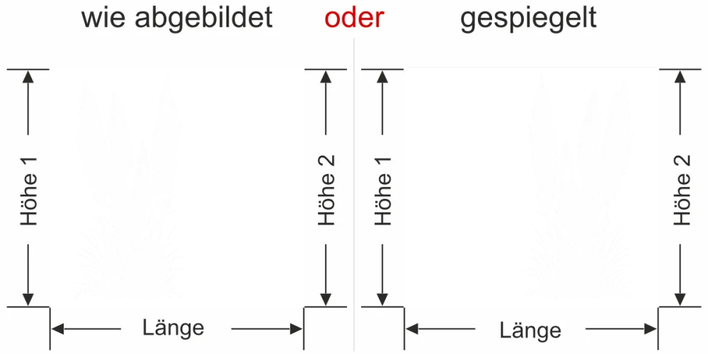Sichtschutzfolie Amerikanisches Pampasgras