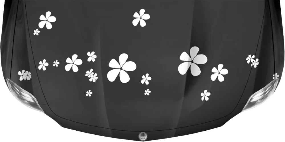Autoaufkleber Blumen auf dunkler Motorhaube
