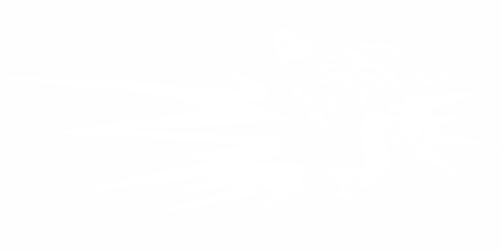 Autodekor Tiger Blitz