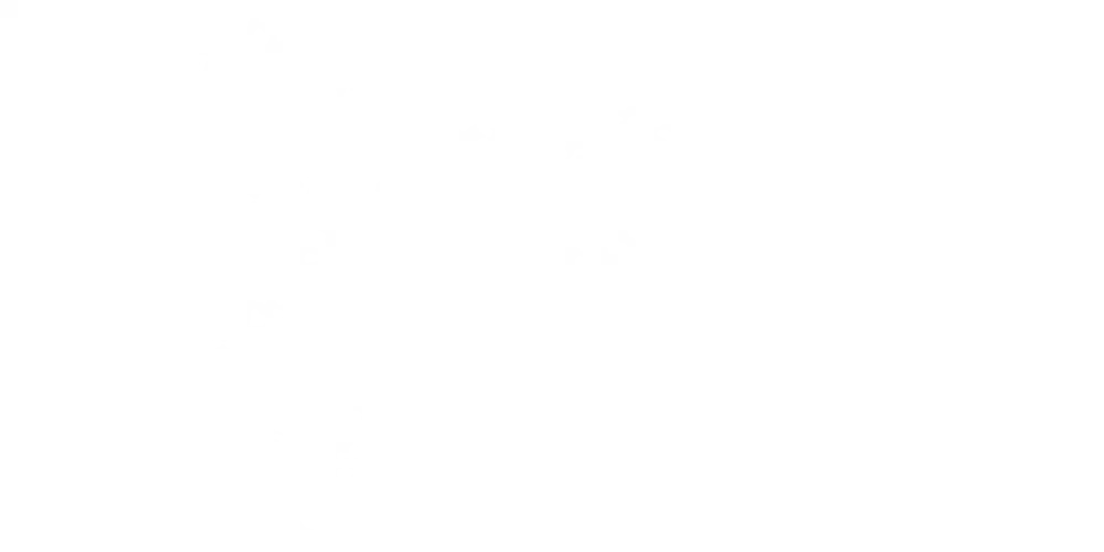 Autodesign Leopardenkreise