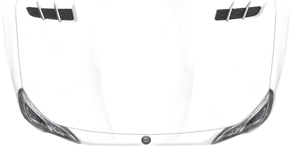 Autotattoo Blumenaufkleber auf heller Motorhaube - Ansicht Farbauswahl