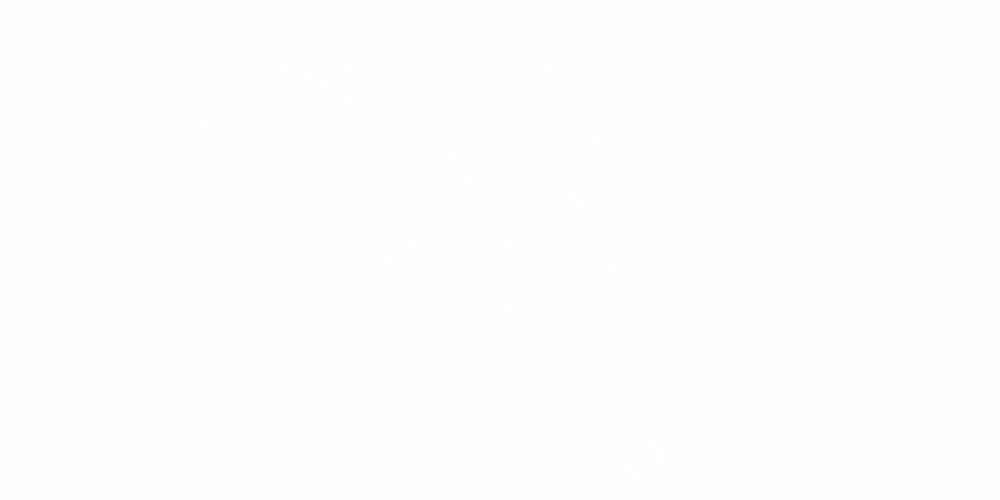 Auto Tattoo Elefant