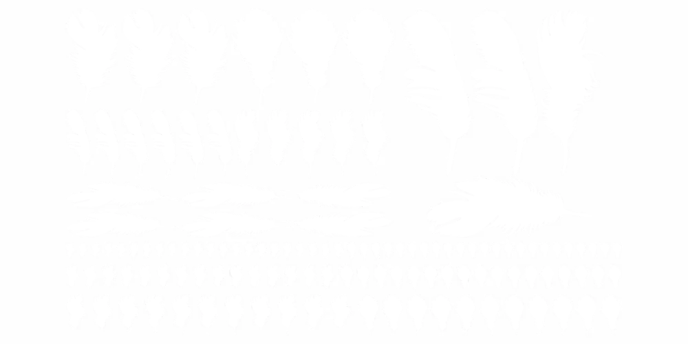 Autoaufkleber schwebende Federn - Frei platzierbare Elemente und Farbauswahl