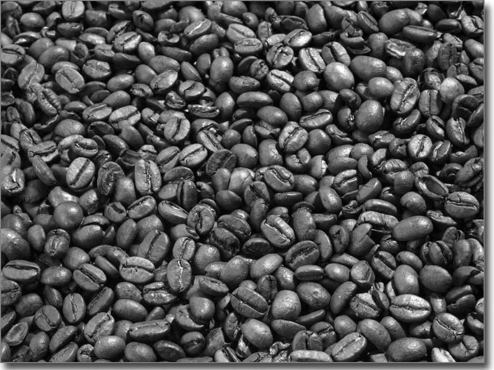 Glasbild mit Kaffeebohnen in schwarz weiß