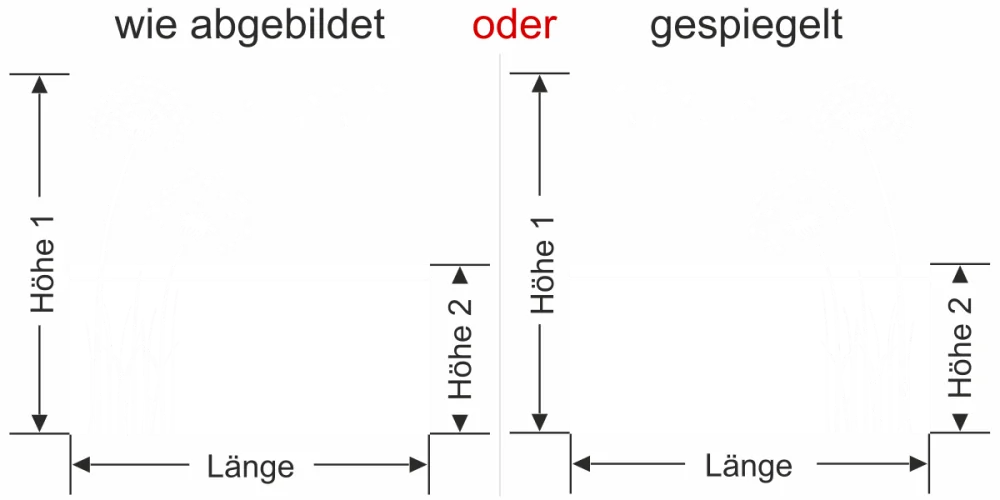 Fensterfolie Pusteblume - Ansicht Ausrichtung und Farbauswahl