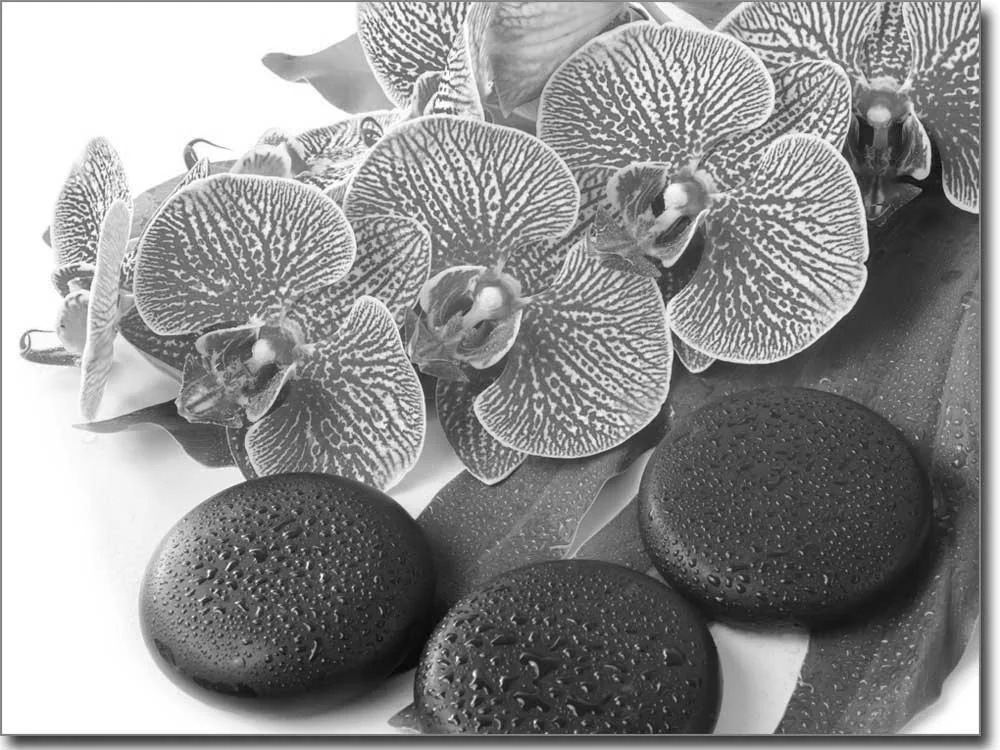 selbstklebendes Glasbild mit Orchideenblüte in schwarz weiß