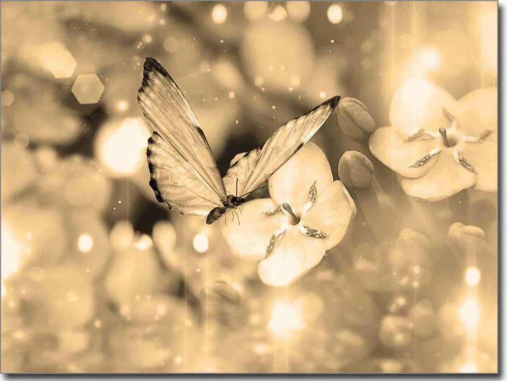 Glasprint mit Butterfly in sepia