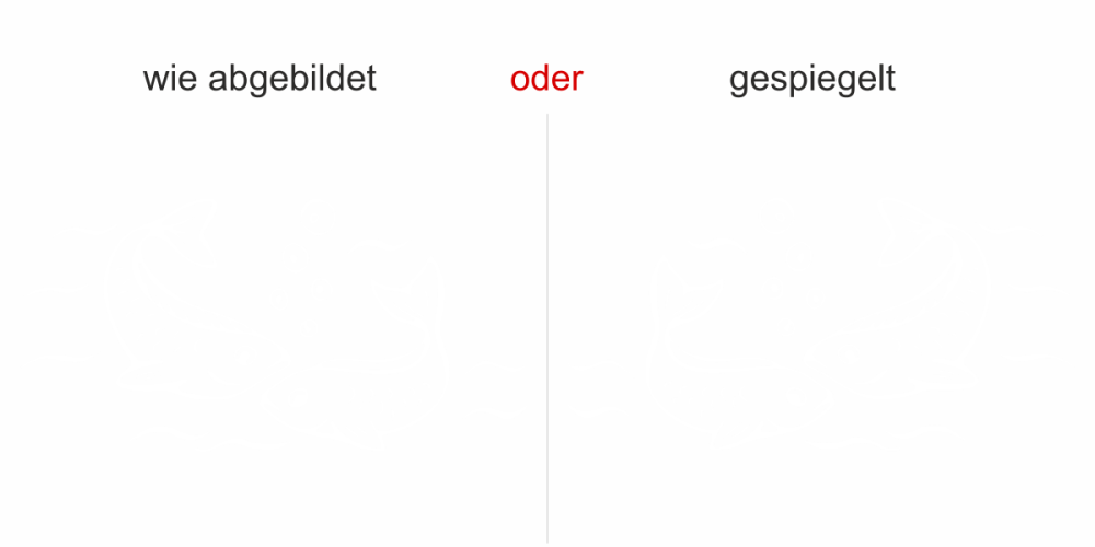 Glasdekorfolie Fischpärchen
