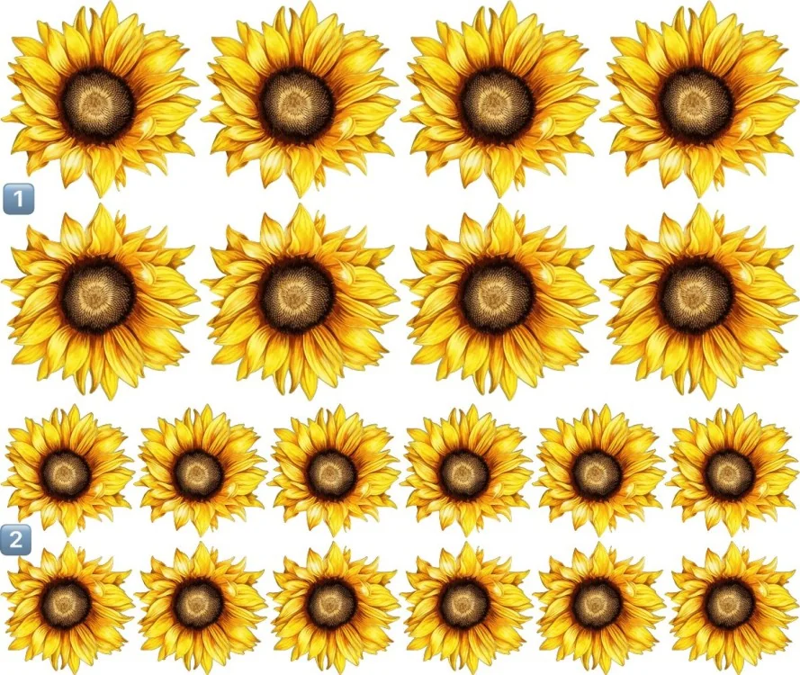 Sonnenblumen Autoaufkleber Set zur individuellen Anordnung