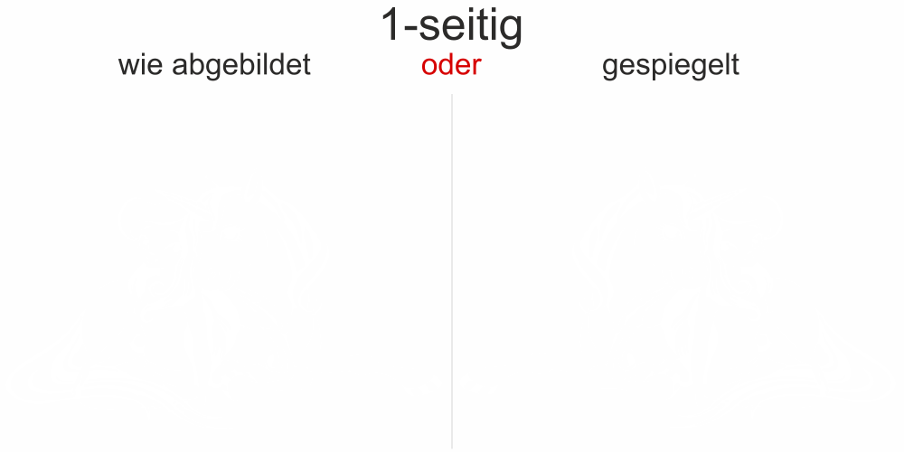 Autoaufkleber Fee mit Einhorn