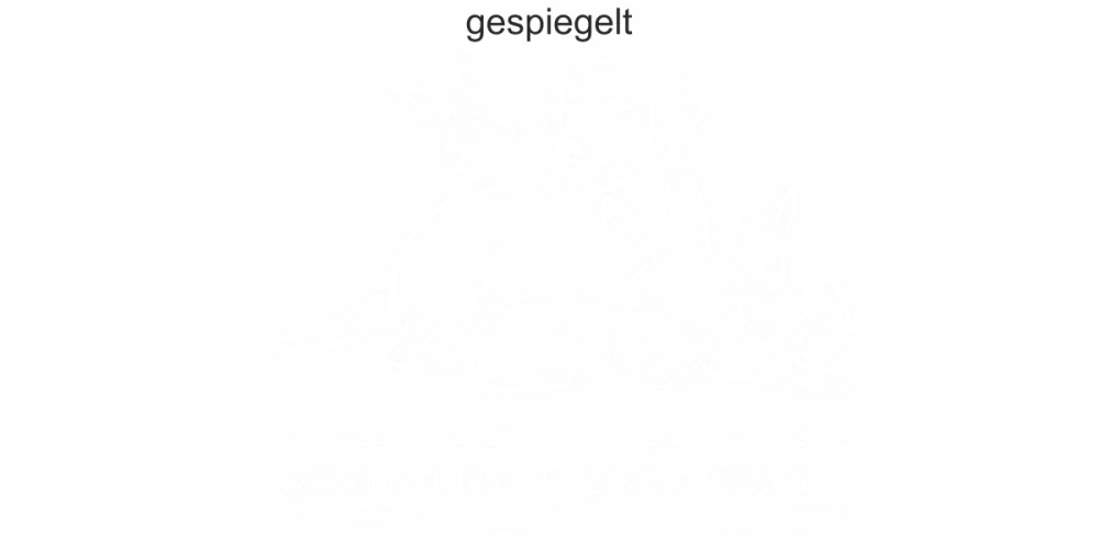 Glastattoo für Tierarztpraxis mit Wunschtext - Ansicht Ausrichtung mit Farbauswahl