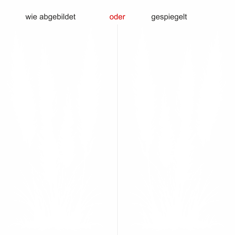 Außenwandtattoo Pampasgras - Ansicht Ausrichtung und Farbauswahl