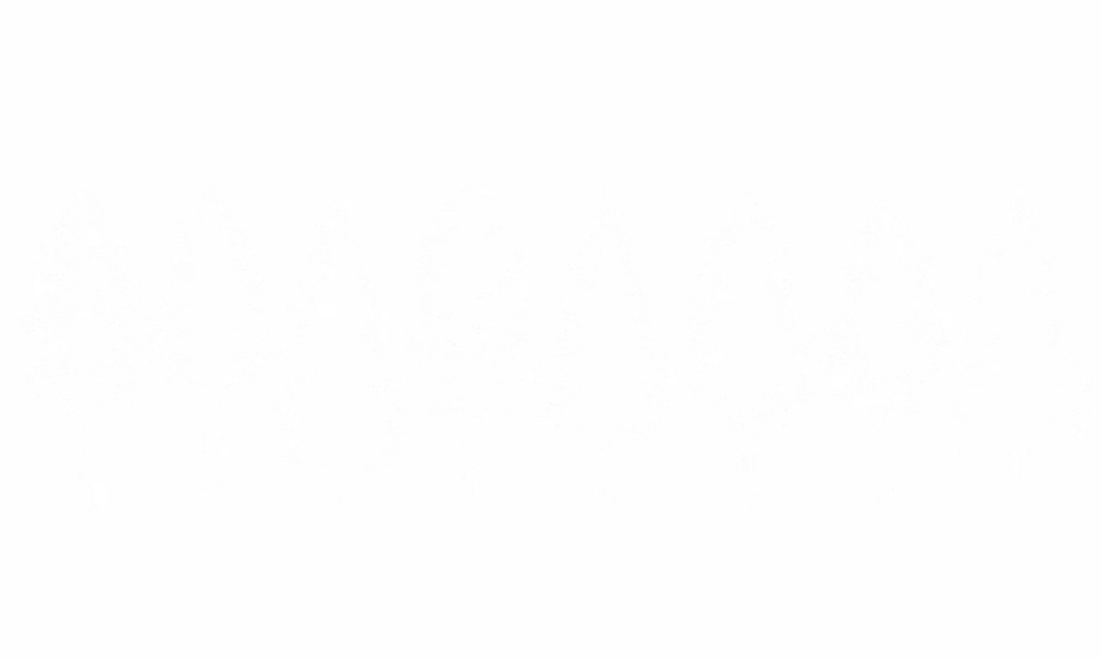 Auto Aufkleber Bäume Line Art