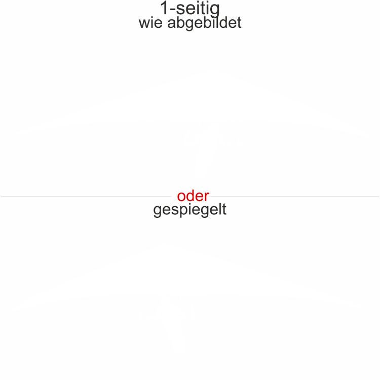 Autoaufkleber Drachenflieger
