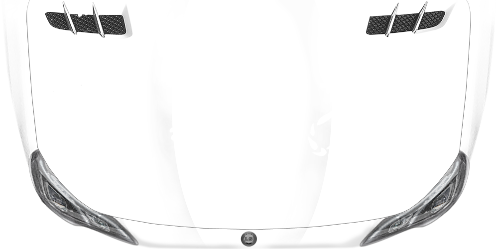 Autotattoo Exotische Echse