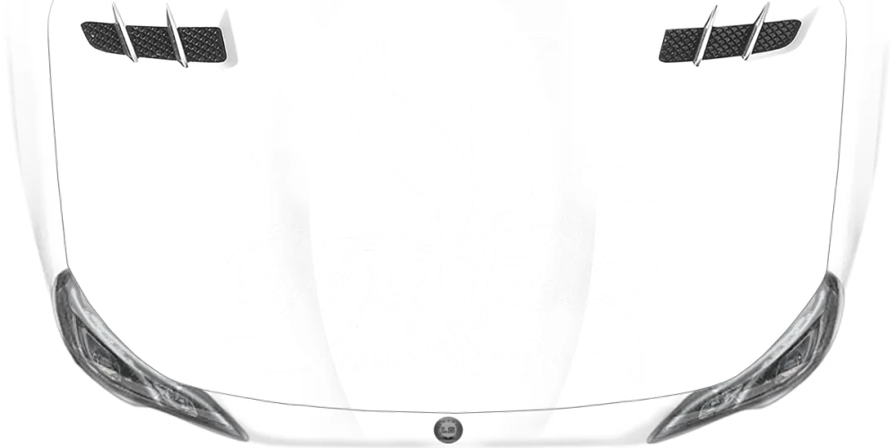 Autoaufkleber Eigene Grafik einfarbig - Ansicht Farbauswahl auf heller Motorhaube