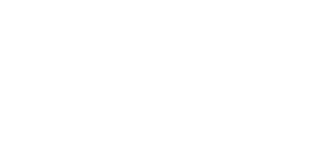 Wohnwagendekor Hirsch im Wald