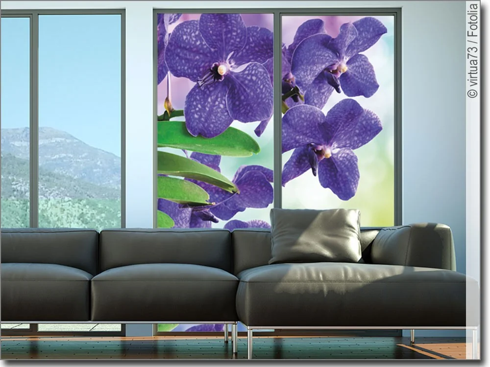 Fensterdesign mit Blaue Orchidee