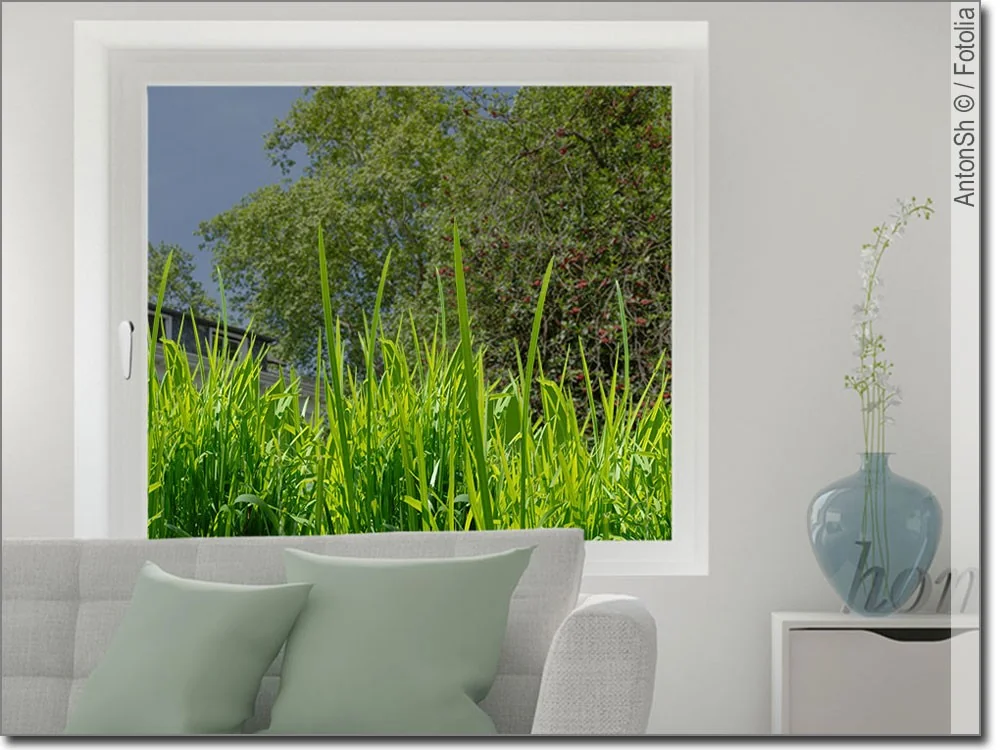 Fensterbild mit Gras