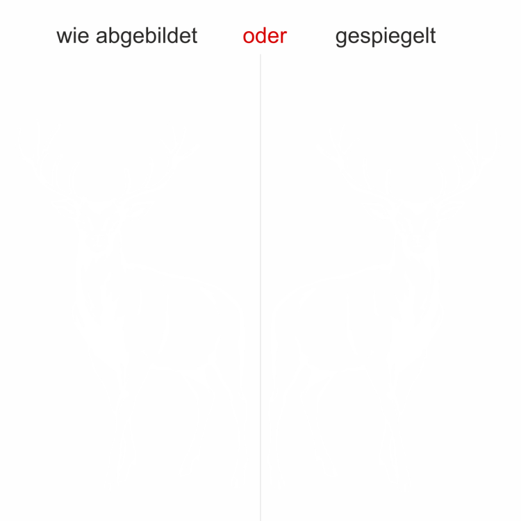 Außenwandaufkleber Hirsch