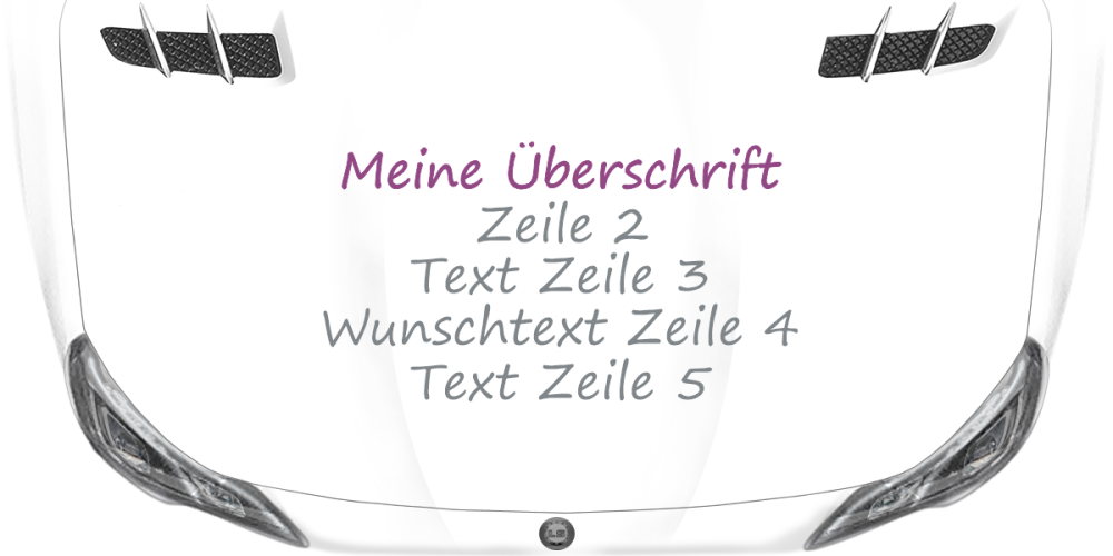 Fahrzeugbeschriftung Textblock | 11 auf Motorhaube