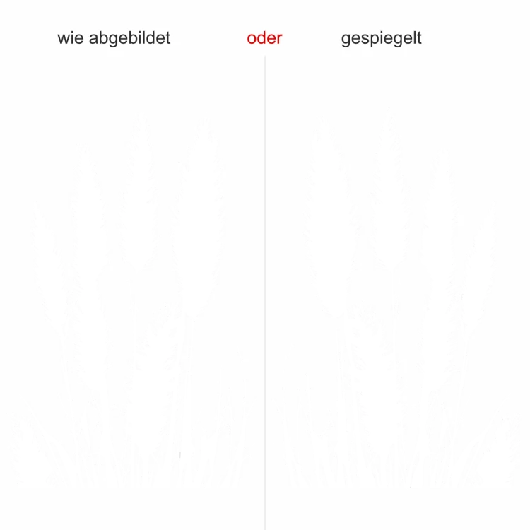 glas aufkleber pampasgras - Ansicht Ausrichtung und Farbauswahl
