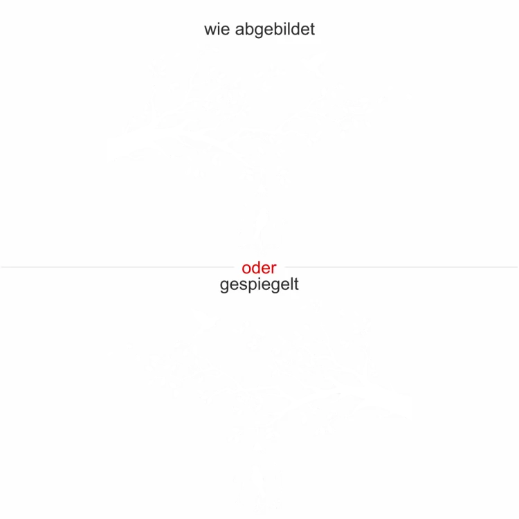 Fensterfolie Vögel auf Ast - Ansicht Ausrichtung und Farbauswahl