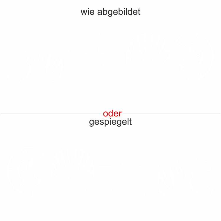 Glasaufkleber Muscheln