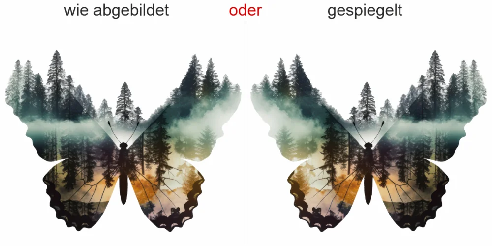 Glasaufkleber Schmetterling Walddesign - Ansicht Ausrichtung