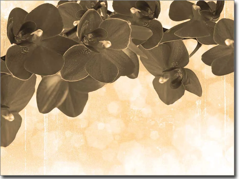 Glasfoto Aufkleber Orchideenmeer Sepia