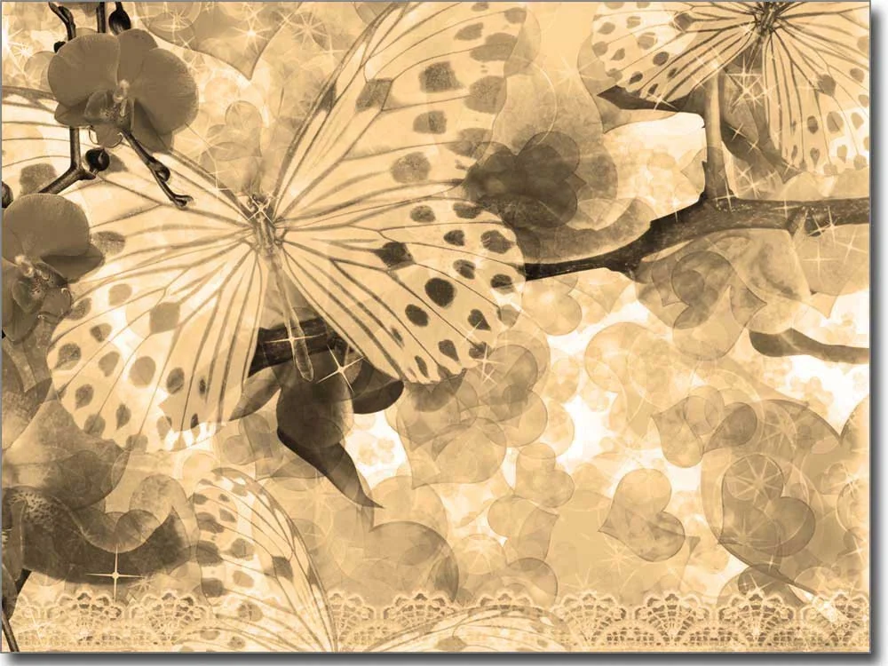 Fensterbild Schmetterling Sepia