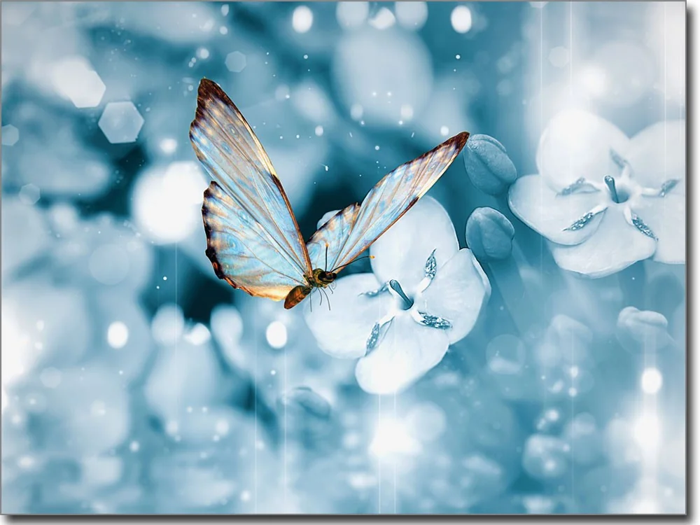 Foliendruck mit Butterfly