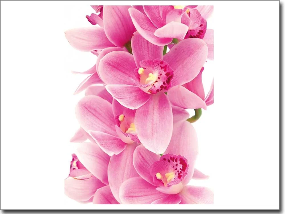 Glasdruck Aufkleber Orchidee pink