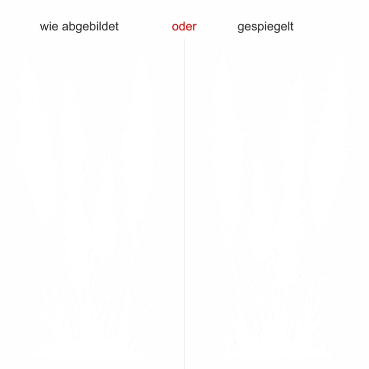 Glastattoo Amerikanisches Pampasgras - Ansicht Ausrichtung und Farbauswahl