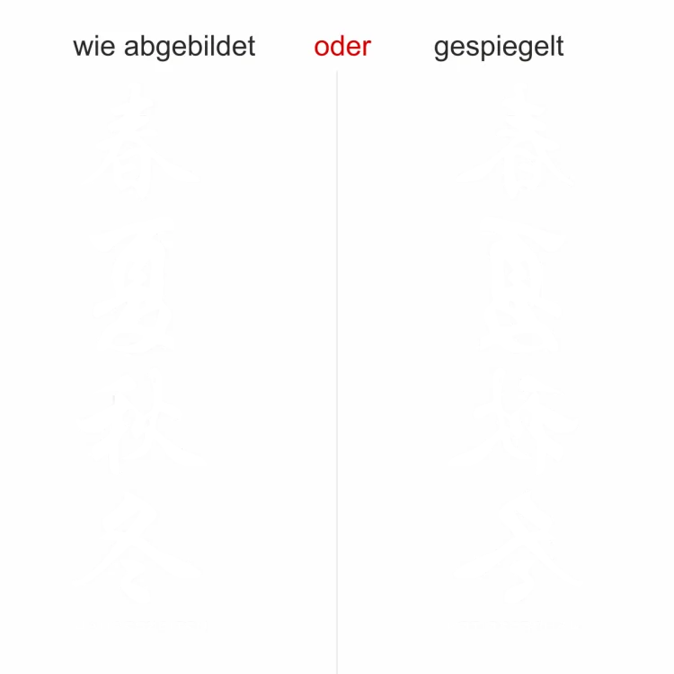 Glastattoo Chinesisches Zeichen Jahreszeiten - Ansicht Ausrichtung mit Farbauswahl