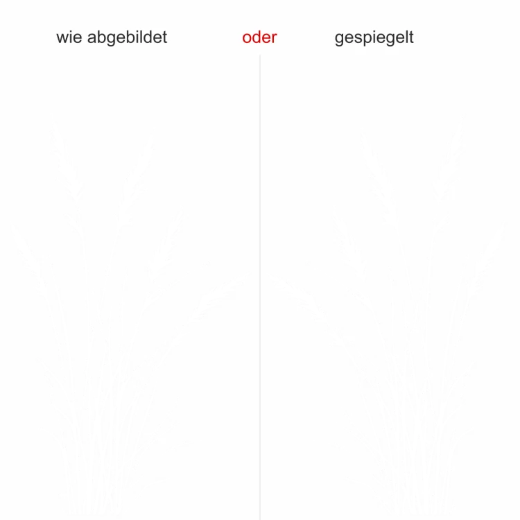 Glastattoo Filigranes Ziergras - Ansicht Ausrichtung und Farbauswahl