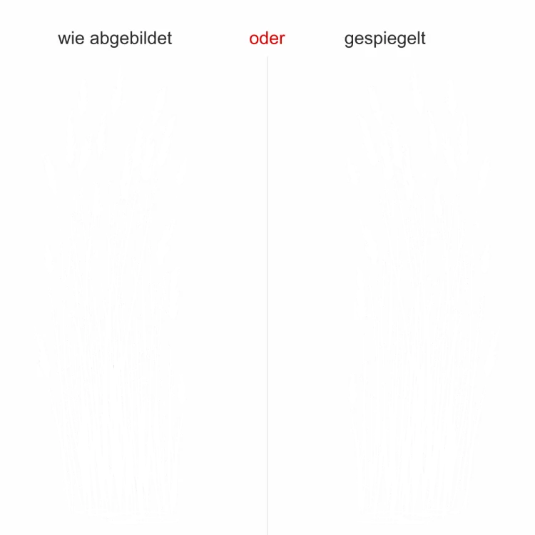 Glastattoo Majestätische Gräser - Ansicht Ausrichtung und Farbauswahl