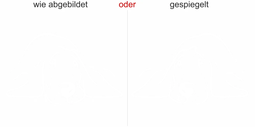 - Ansicht Ausrichtung mit Farbauswahl