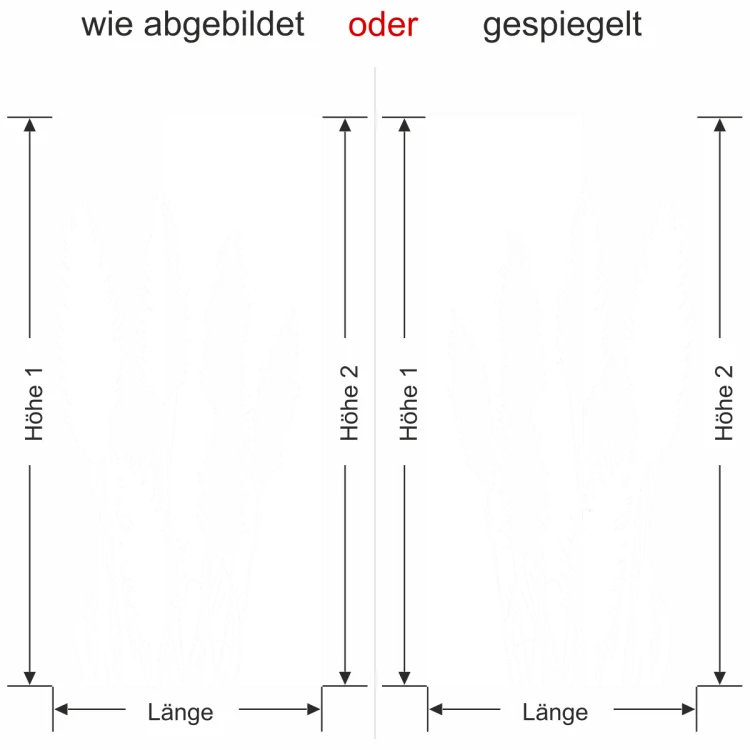 Glastür Milchglasfolie Pampasgras Decor - Ansicht Ausrichtung